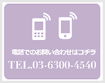 0363004540に電話で問い合わせる
